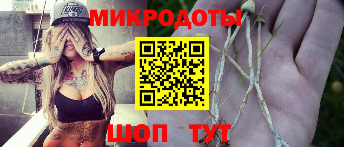 Псилоцибиновые грибы Psilocybe  Вход с VPN  Новокузнецк  Галлюциногенные грибы ЛСД 